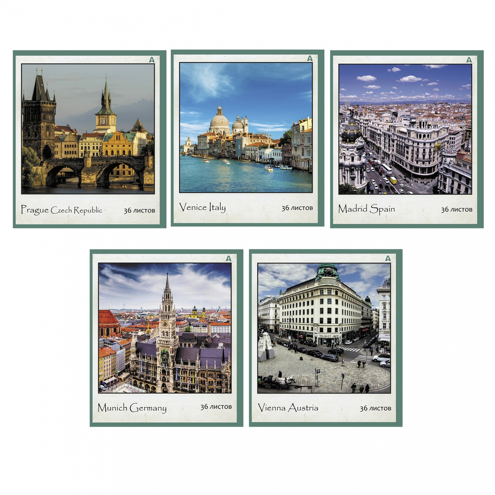 Тетрадь 36 л., А5, клетка, Alingar "Городские виды", скрепка, офсет, мелованная бумага, 5 дизайнов в пленке т/у