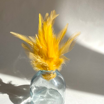 Перья петуха апельсиновые 7 - 13 см. 20 шт.