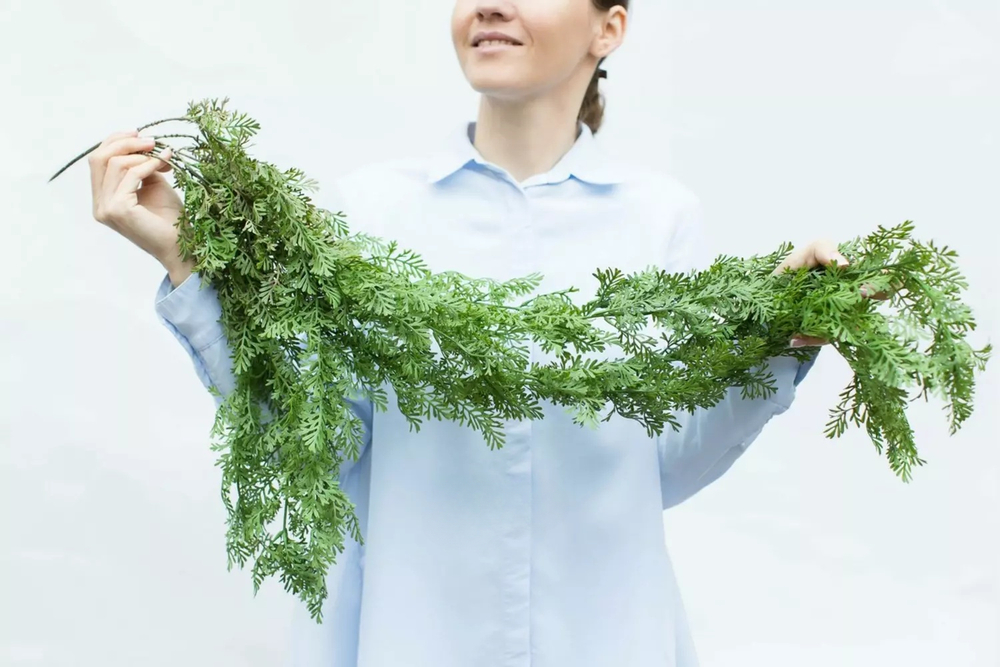 Зелень 6 удлиненная