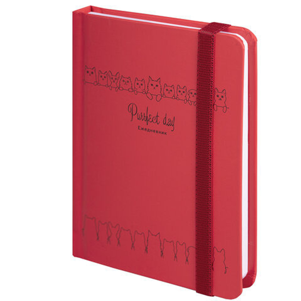 Ежедневник недатированный А6 128 л. БРАУБЕРГ Котики (114571)