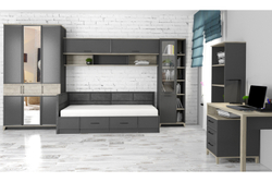 Шкаф для одежды и белья Аурелио 444, Антрацит, Блеквуд Сатиновый