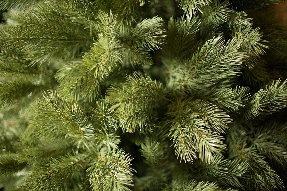 Ель искусственная «Шервуд» (Литая хвоя) 210 см / 2,1 м