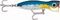 Воблер RAPALA X-Rap Magnum Xplode 170 /BSRD