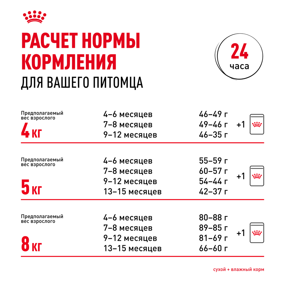 Royal Canin Maine Coon Kitten Корм сухой сбалансированный для котят породы Мэйн Кун - 0,4 кг