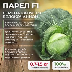 ПАРЕЛ F1 семена капусты белокочанной (Bejo | Alexagro)