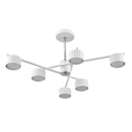 Потолочная люстра Lumion KARINA 8241/6C