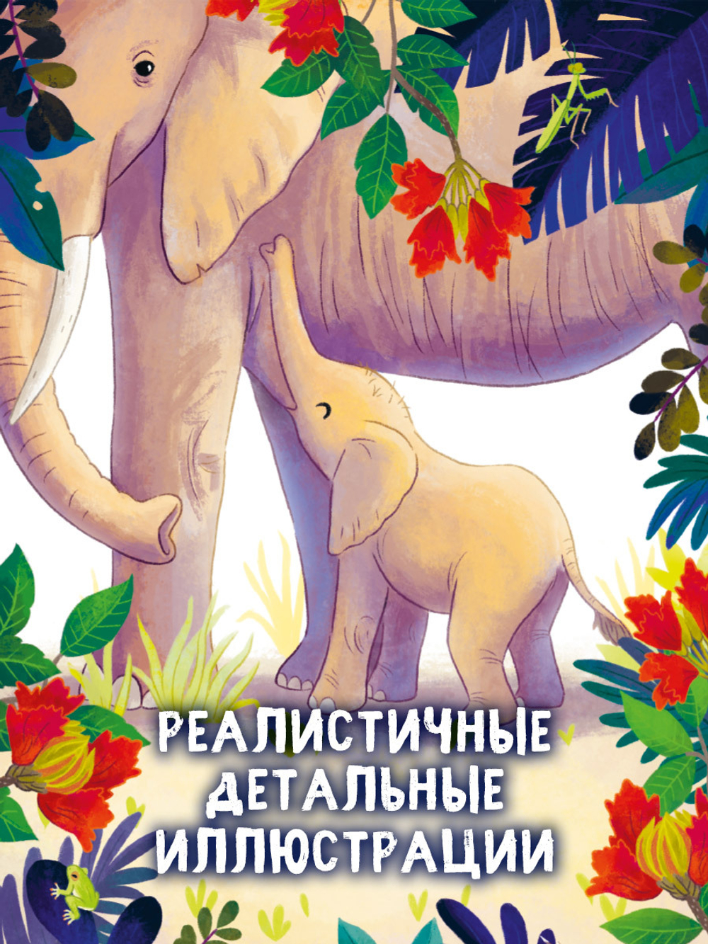 Удивительные животные. Малыш слонёнок. Приключения в Африке