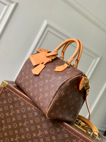 Louis Vuitton Speedy P9 Bandouliere 30
