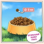 Сухой корм для кощек ZILLII (Зилли) Cat Adult Indoor 10кг индейка и ягненок для домашних кошек