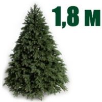 Высота 180 см