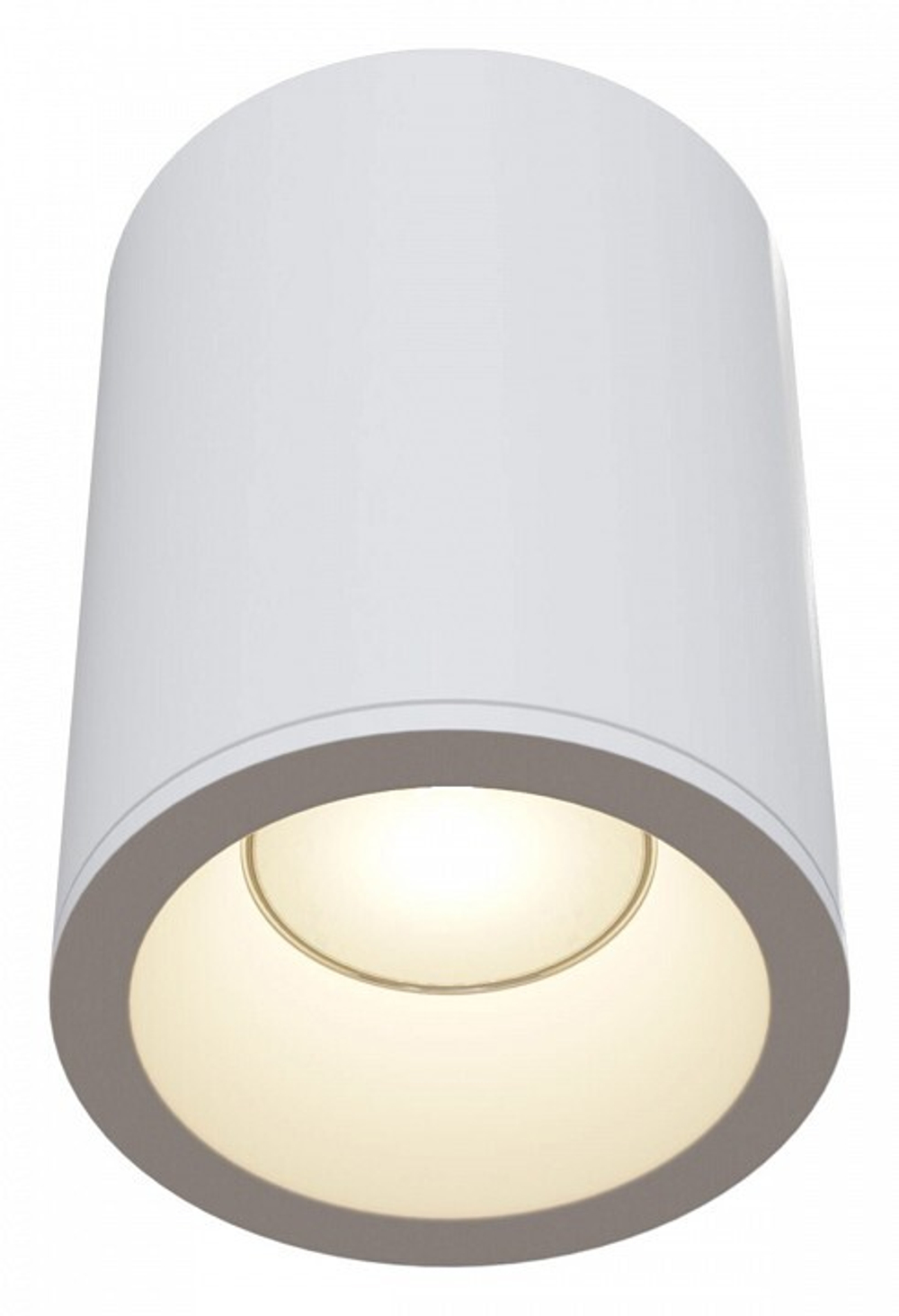 Накладной светильник Maytoni Zoom C029CL-01W