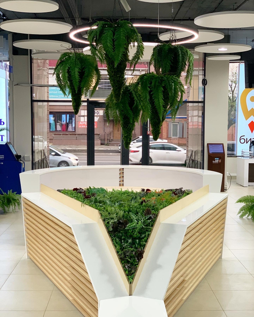 20.05. Озеленение искусственными растениями офисного пространства "Фонда развития бизнеса Краснодарского края в инновационном центре "Аквариум"