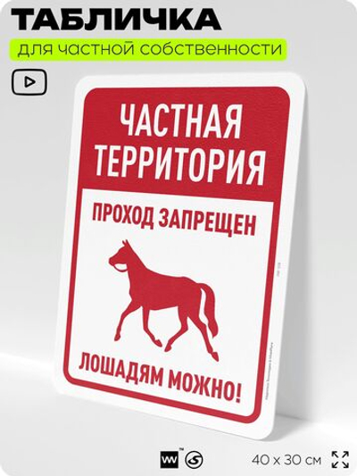 Табличка для частной территории "Частная территория, проход запрещен", на дом, для участка, организаций, предупреждающая, 40х30 см, Silver Plane x Айдентика Технолоджи