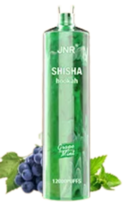 JNR Shisha Hookah Виноградная мята 12000 затяжек 20мг (2%)