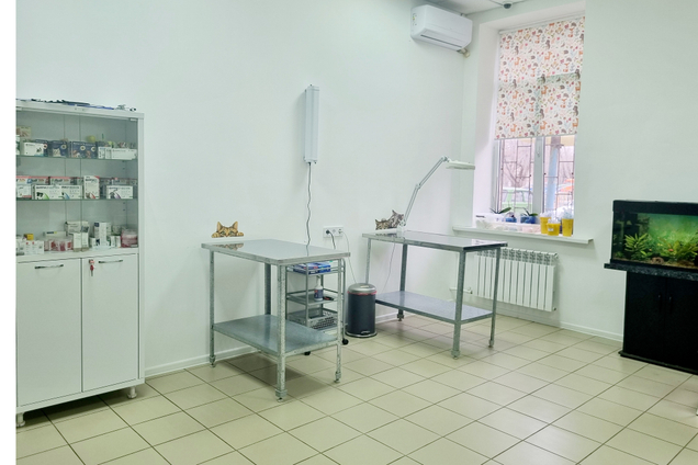Заботьтесь о здоровье своих питомцев с АстВетико!