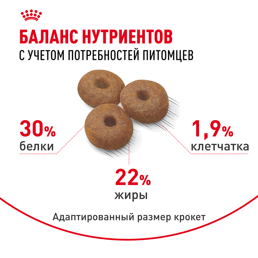 Royal Canin Maxi Starter Макси Стартер мазэ энд бэбидог Корм для щенков крупных пород до 2-х месяцев беременных и кормящих собак 15кг
