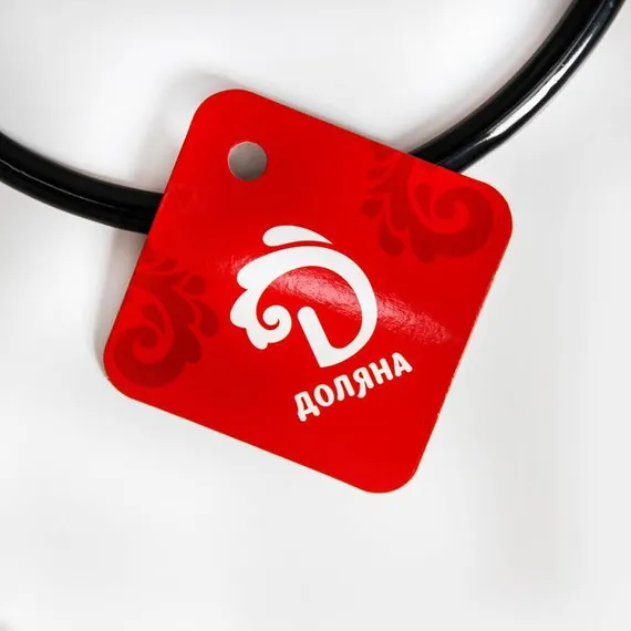 Вешалка для галстуков и шарфов Доляна, 13,5×23×0,7 см, антискользящее покрытие, цвет чёрный