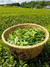 Чай улун Лотос Tra Phu Sy вьетнамский 100 г x 3 шт