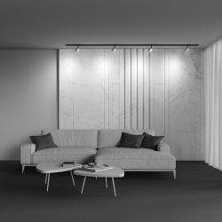 Трековый однофазный светильник Maytoni Unity   TR088-1-GX53-MG