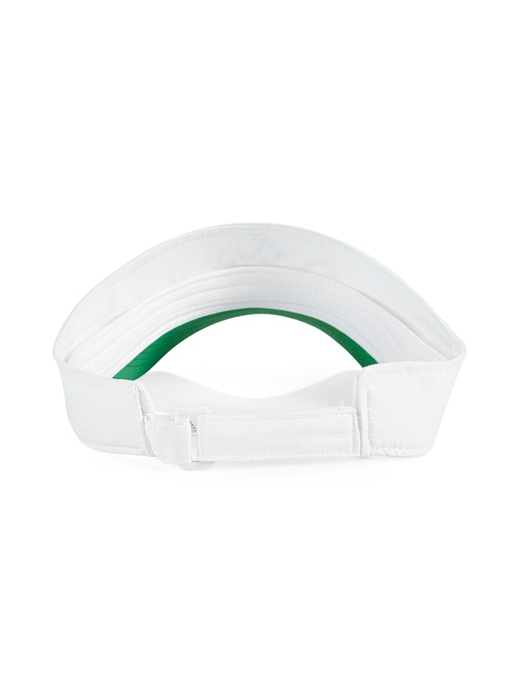 AS H3.01 Z04   козырёк