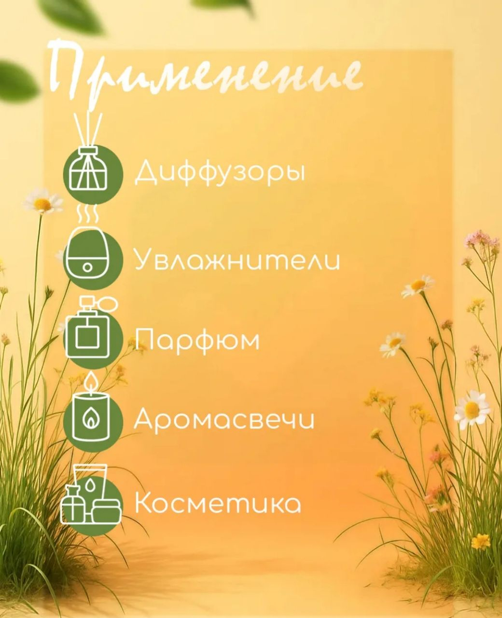 Эфирное масло «Дыня», 10 мл, Богатство Аромата