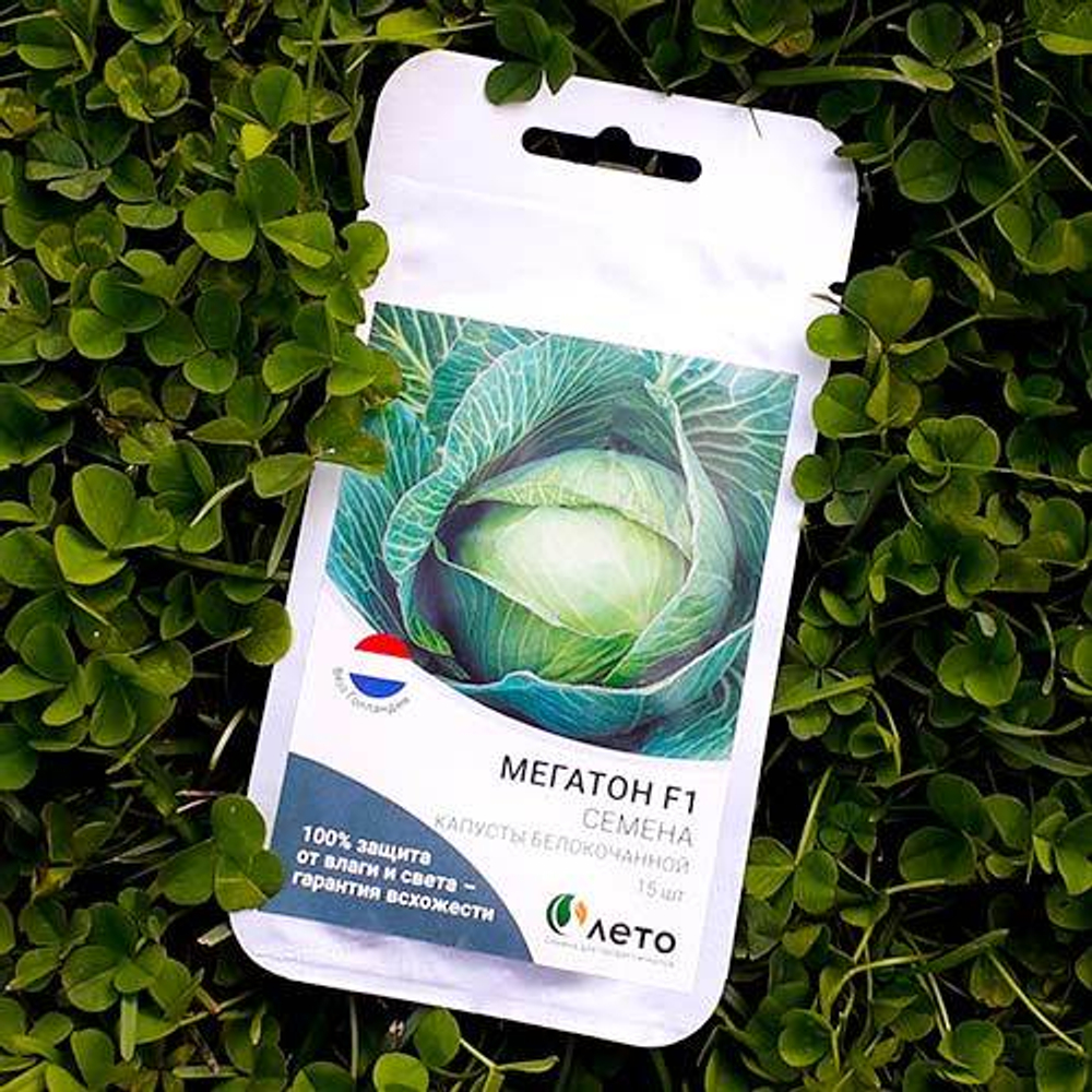 Семена капусты белокочанной Мегатон F1, Bejo