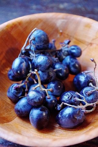 Левито мадре с нуля