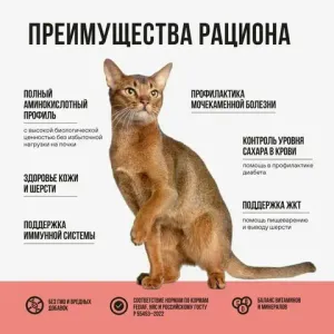 Уценка! Повр.упак./ Сухой корм BOWL WOW для стерилизованных кошек с лососем, белой рыбой и брокколи