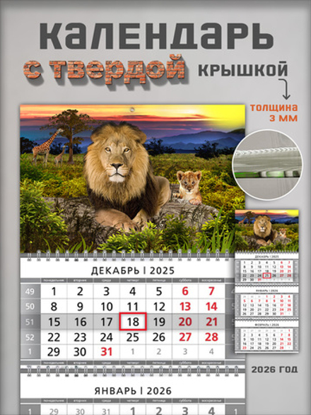 Настенный квартальный трехблочный календарь "Львы"