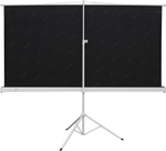 Экран на треноге Cactus Triscreen &lt;CS-PST-124x221&gt; (100", 16:9, 124x221см, Matte White)