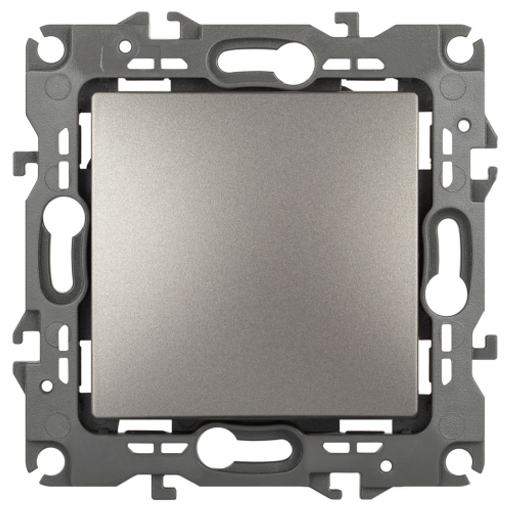 Выключатель ЭРА Серия 12 12-1101-16 10АХ-250В титан