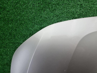 Капот Hongqi H9 (2020-н.в.)