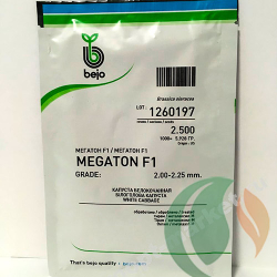 Семена капусты белокочанной Мегатон F1, Bejo