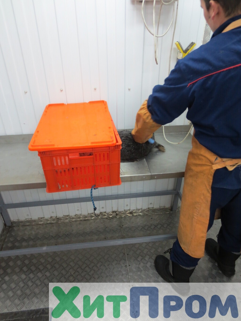 Комплекс убоя и переработки кроликов до 150 голов/час. Детское питание. Тульская область.