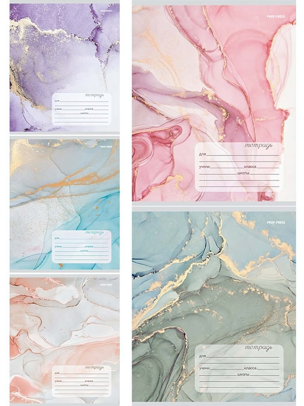 Тетрадь А5 18л. клетка "Мраморный дизайн" мелов.облистер 5 дизайнов (Проф-Пресс)(Проф-Пресс)