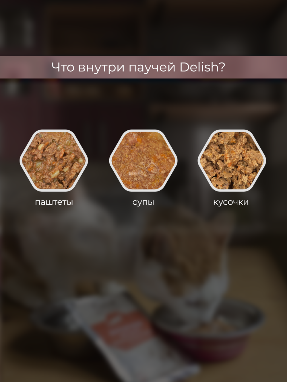 НАБОР Консервы DELISH Super Premium для кошек (суп) с говядиной и овощами - 10 шт х 80 гр