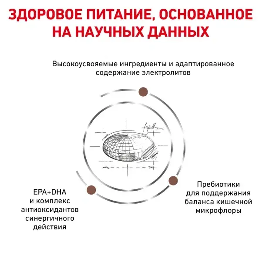Royal Canin корм сухой для взрослых кошек склонных к набору веса при нарушениях пищеварения