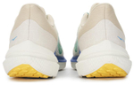 Кроссовки Nike Air Winflo 9 Prm