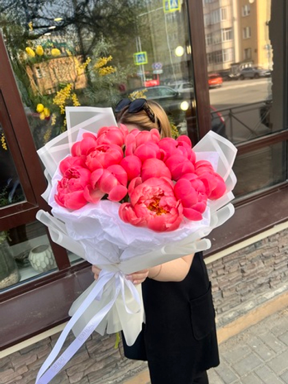 15 пионов корал в упаковке