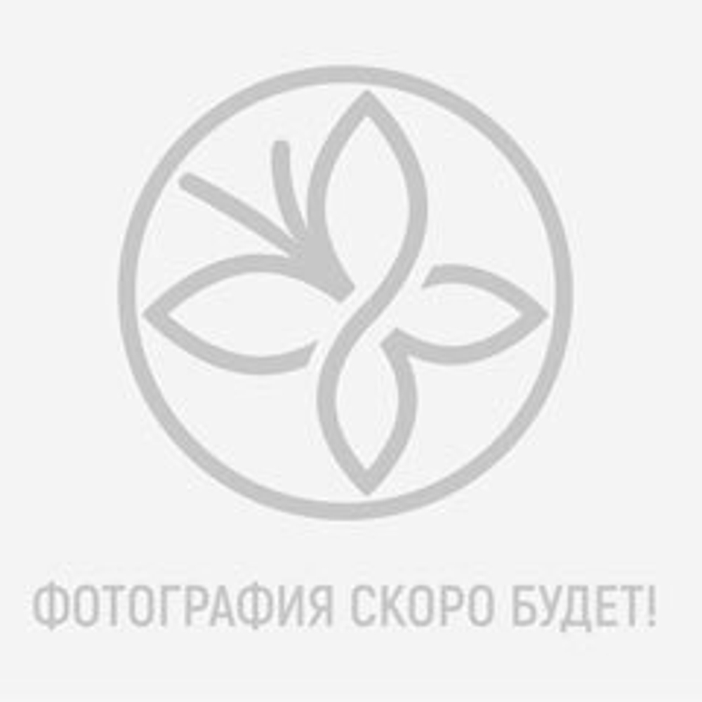 Püf, Пигмент "Butterfly" #13, 1 шт