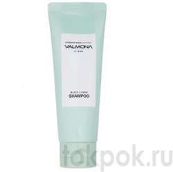 Шампунь для волос Valmona Ayurvedic Scalp Solution Black Cumin Shampoo, 100 мл
