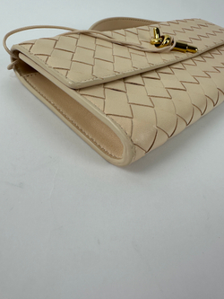 Сумка Bottega Veneta Andiamo