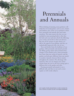 Practical Guide to Pruning, Training and Topiary