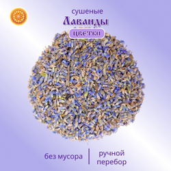 Лаванда цвет сушеный.