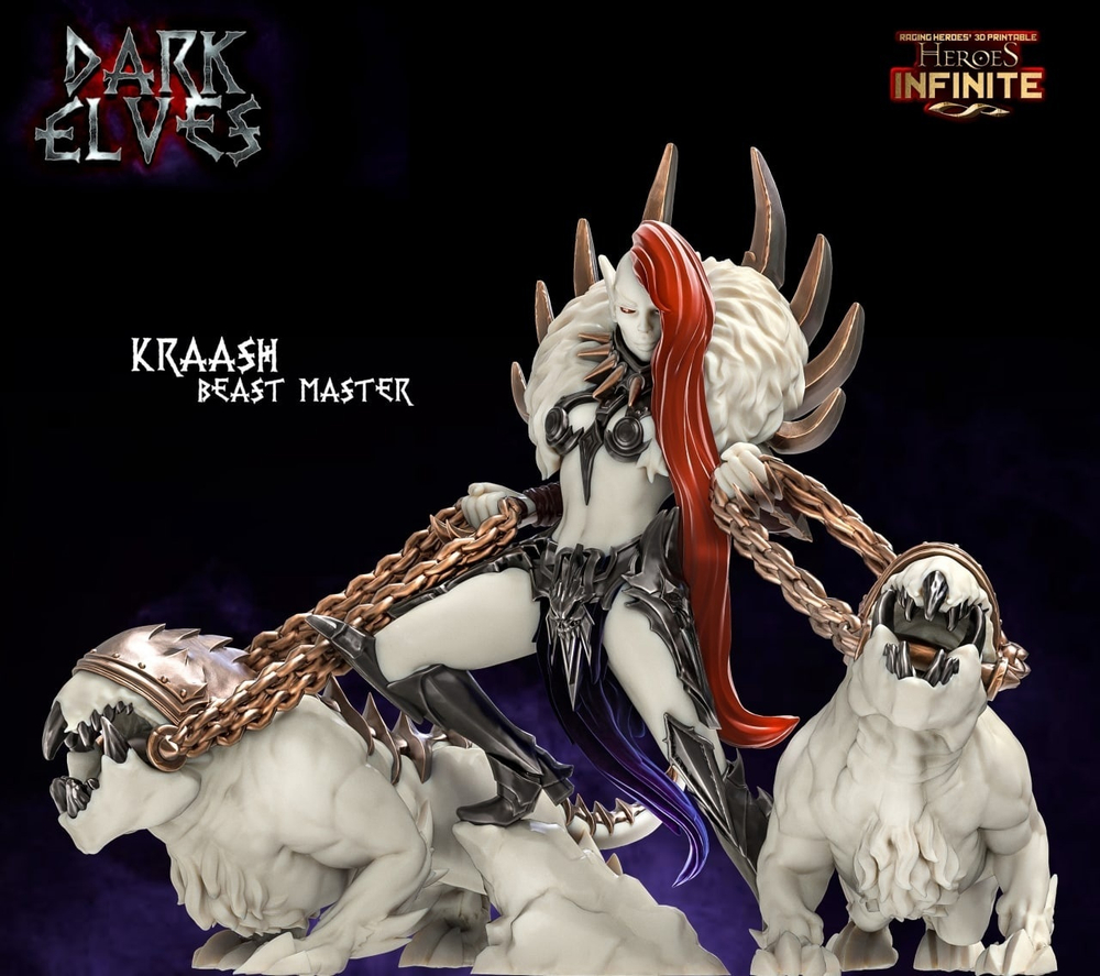 Dark Elve BeastMaster