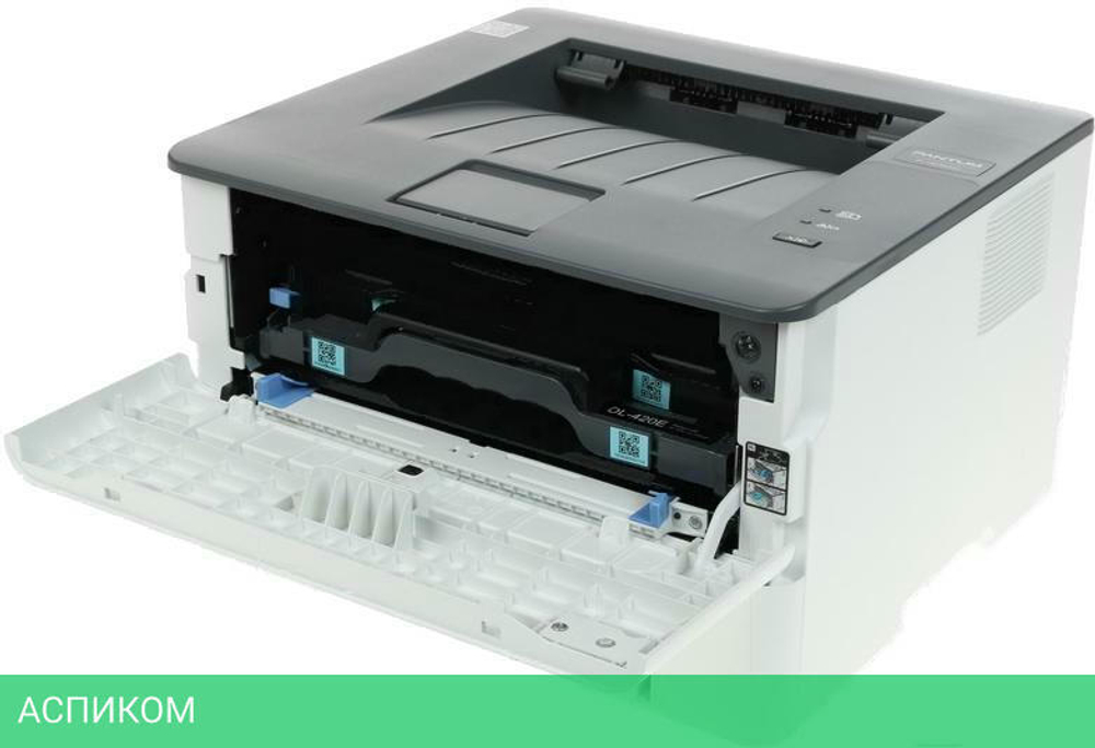 Принтер Pantum P3010D