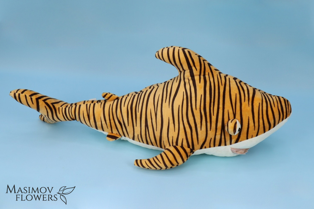 Тигровая акула 77 см