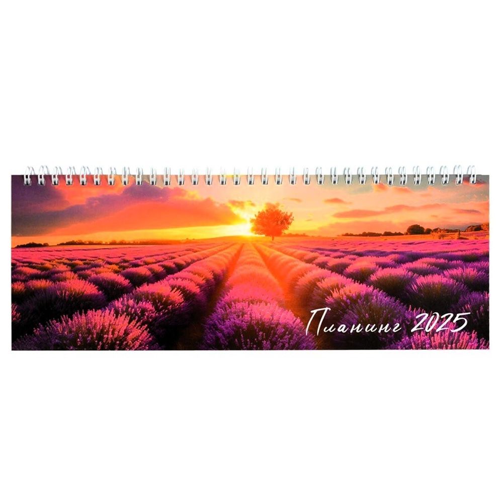 Планинг 2025г., Феникс+ Лавандовые поля, 64л, картонная обложка, 290х100мм, гребень