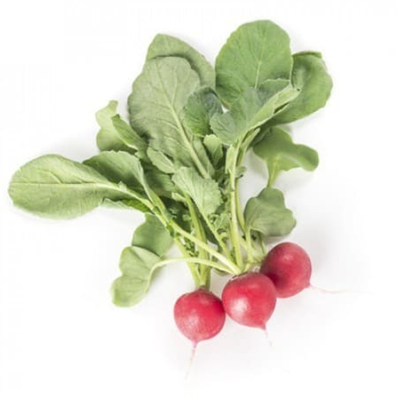 Белсай F1 семена редиса (Rijk Zwaan / Райк Цваан) плод – фото 2