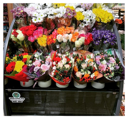Горка холодильная Lida Stella Flora mini (1000х970х1800 мм)